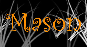 Mason's Website